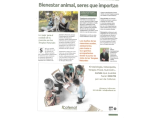 Bienestar Animal, seres que importan