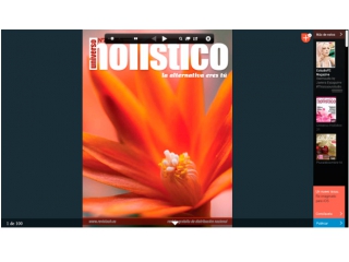 Cursos y Seminarios exprés.