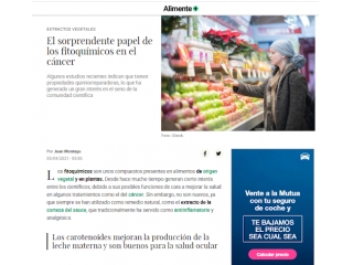  El sorprendente papel de los fitoquímicos en el cáncer 