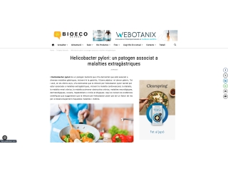 Helicobacter pylori: un patogen associat a malalties extragàstriques