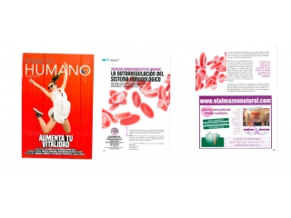 La autorregulación del sistema inmunológico