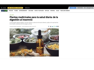 Plantas medicinales para la salud diaria: de la digestión al insomnio
