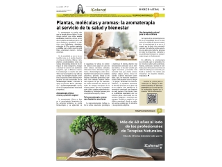 Plantas, moléculas y aromas: la aromaterapia al servicio de tu salud y bienestar