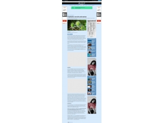 Propiedades y usos del cardo mariano