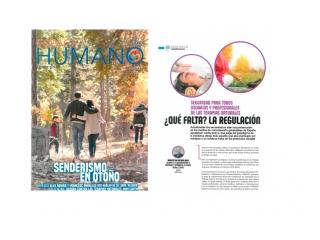 ¿Qué falta? La regulación