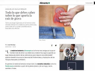 Todo lo que debes saber sobre lo que aporta la raíz de grava