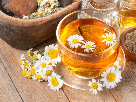 12 plantas medicinales que debes incluir en tu botiquín para el verano