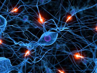 5 MANERAS DE AUMENTAR LOS NIVELES DE SEROTONINA DE MANERA NATURAL