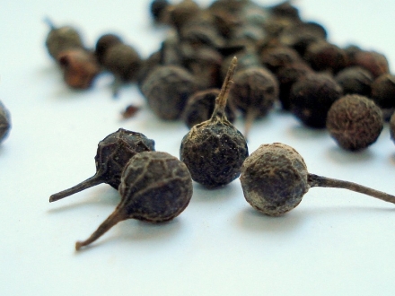 Aceite esencial de Litsea cubeba: propiedades y para qué usarlo