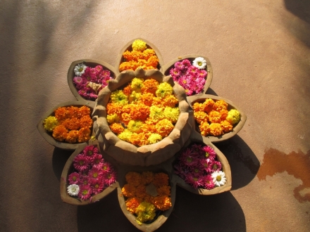 Ayurveda, una forma de vida