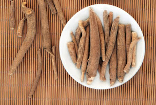 Beneficios y propiedades del eleuterococo (ginseng siberiano)