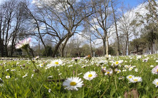 Cómo depurar tu organismo en primavera I