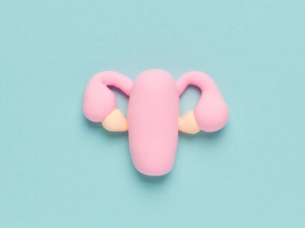 Conocimiento y enfoques naturopáticos para el manejo de la endometriosis