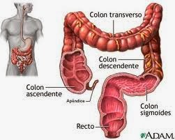 CONSEJOS BASICOS PARA ALIVIAR LA  COLITIS DE FORMA NATURAL