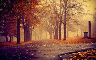 DEPURA TU CUERPO EN OTOÑO.