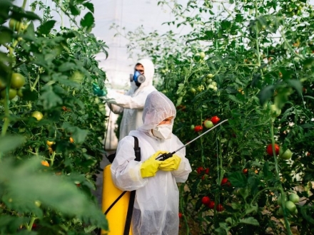 Disruptores endocrinos: asesinos silenciosos