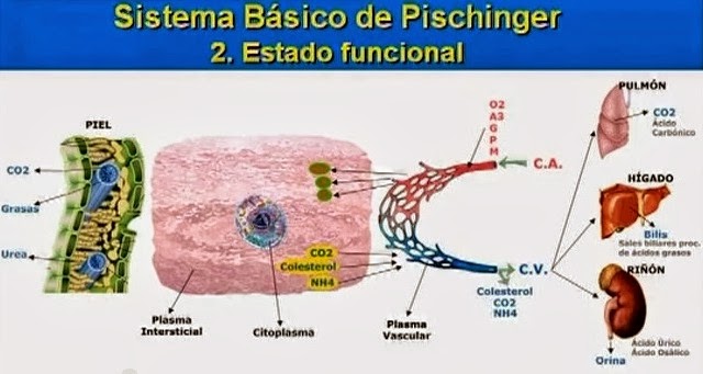 Dr. ALBERTO MARTI, CANCER, ENFERMEDADES, ALIMENTACION Y HOMEOPATIA