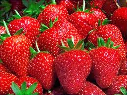 EL CONSUMO DE FRESAS REDUCE LOS NIVELES DE COLESTEROL