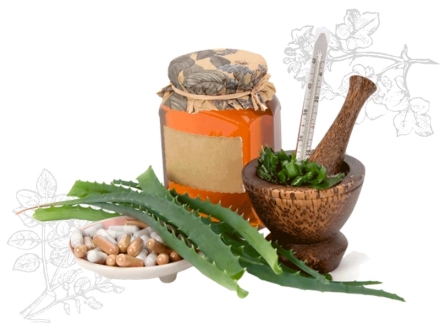 Fitoterapia en oncología integrativa