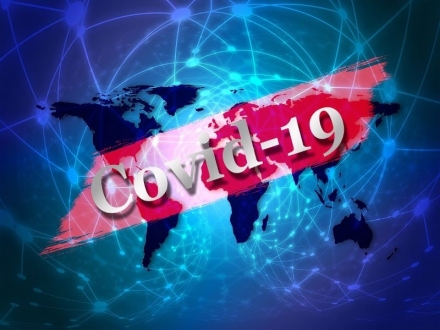  La importancia de la Vitamina D para el  Covid 19 