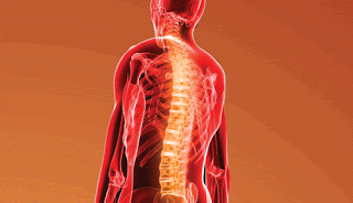 LA OSTEOPATÍA, UNA ALTERNATIVA EFICAZ PARA PALIAR EL DOLOR DE LA FIBROMIALGIA 