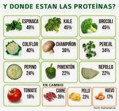 LAS PROTEINAS VEGETALES Y SUS NOTABLES VENTAJAS