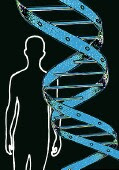 LAS VARIANTES GENETICAS PODRIAN JUGAR UN PAPEL EN LA OBESIDAD