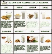 'LECHE' DE SÉSAMO Y ARROZ HECHA EN THERMOMIX