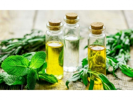 Lo Qué Necesitas Saber Sobre el Sulfato de Glucosamina