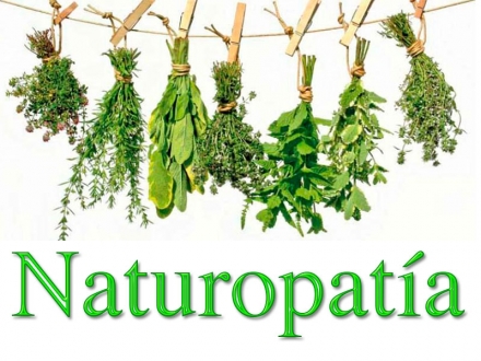 Medicina naturopática para la prevención de enfermedades cardiovasculares:  ensayo clínico aleatorizado