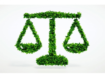 Mi experiencia con la defensa y regulación de las terapias naturales