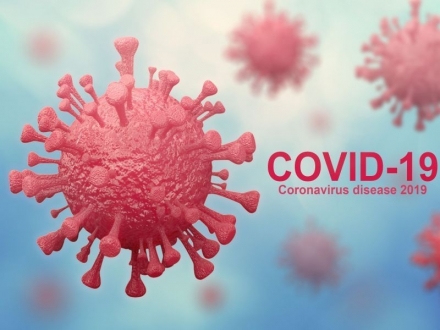 Naturopatía y ansiedad en la Covid 19