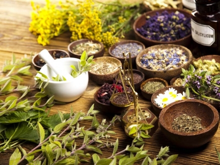 Práctica naturopática internacional y características de los pacientes: resultados de un estudio transversal en 14 países