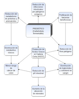 PREBIOTICOS Y PROBIOTICOS. QUE SON Y PARA QUE SIRVEN