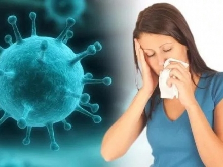 Terapias complementarias para la sinusitis y la rinitis: una revisión sistemática que utiliza un método Delphi modificado.