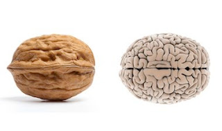 TOMAR GRASAS DE CALIDAD INFLUYE EN LA SALUD MENTAL