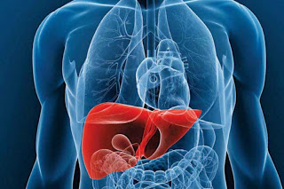 TRATAMIENTO DEL HÍGADO GRASO CON MEDICINA NATURAL